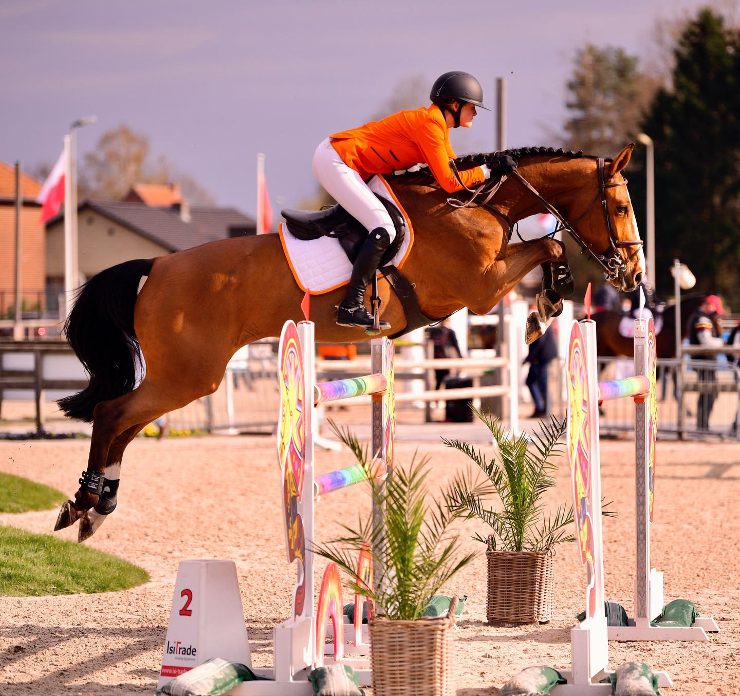Ruiter en paard tijdens een springwedstrijd