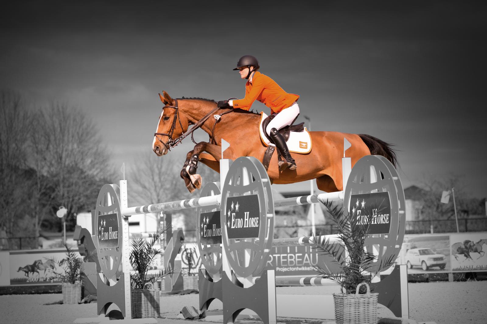Springruiter en paard tijdens een wedstrijd